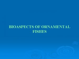 BIOASPECTS OF ORNAMENTAL FISHES GUPPY GUPPY Classification Family