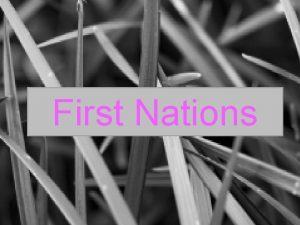 First Nations How have First Nations Peoples Exercised