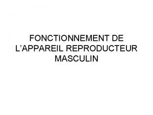 FONCTIONNEMENT DE LAPPAREIL REPRODUCTEUR MASCULIN APPAREIL GENITAL MASCULIN