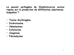 Le pouvoir pathogne de Staphylococcus aureus repose sur