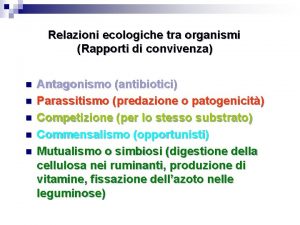 Relazioni ecologiche tra organismi Rapporti di convivenza n