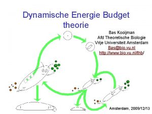 Dynamische Energie Budget theorie Bas Kooijman Afd Theoretische