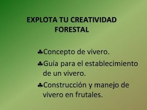 EXPLOTA TU CREATIVIDAD FORESTAL Concepto de vivero Gua