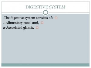 DIGESTIVE SYSTEM The digestive system consists of 1