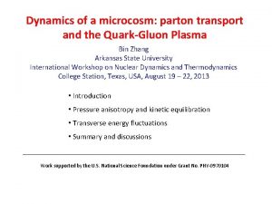 Dynamics of a microcosm parton transport and the