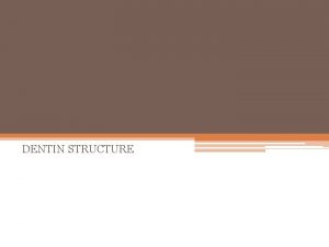 DENTIN STRUCTURE The dentin provides the bulk and