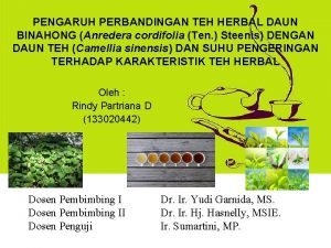 PENGARUH PERBANDINGAN TEH HERBAL DAUN BINAHONG Anredera cordifolia