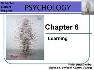 Schacter Gilbert Wegner PSYCHOLOGY Chapter 6 Learning Slides