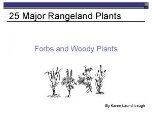25 Major Rangeland Plants Forbs and Woody Plants