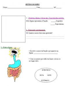 ESTUDO DO MEIO Nome Data Inf 1 Observa