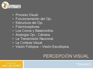 Proceso Visual Funcionamiento del Ojo Estructura del Ojo