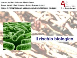 Il rischio biologico RIFERIMENTI NORMATIVI Titolo VIII PROTEZIONE