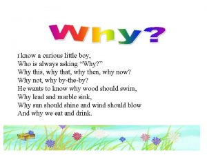 I know a curious little boy poem