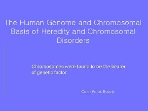 The Human Genome and Chromosomal Basis of Heredity