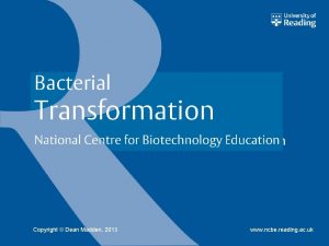 Bacterial Transformation National Centre for Biotechnology Education Copyright