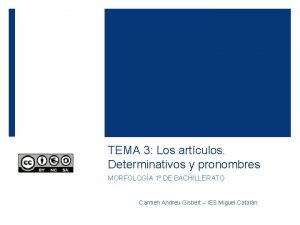 TEMA 3 Los artculos Determinativos y pronombres MORFOLOGA