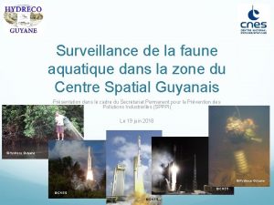 Surveillance de la faune aquatique dans la zone