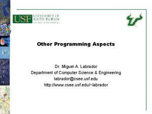 Other Programming Aspects Dr Miguel A Labrador Department