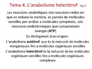 Tema 4 Lanabolisme hetertrof Pg 71 Les reaccions