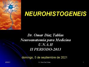NEUROHISTOGENEIS Dr Omar Daz Tablas Neuroanatoma para Medicina