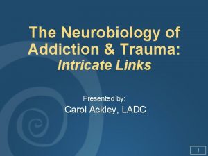 The Neurobiology of Addiction Trauma Intricate Links Presented