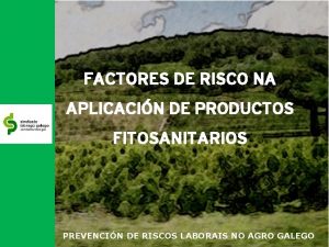 FACTORES DE RISCO NA APLICACIN DE PRODUCTOS FITOSANITARIOS
