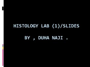 HISTOLOGY LAB 1SLIDES BY DUHA NAJI Midline through