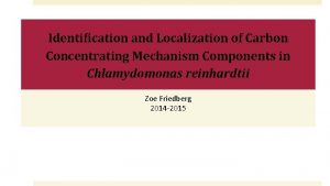 Identification and Localization of Carbon Concentrating Mechanism Components