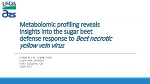 Metabolomic profiling reveals insights into the sugar beet