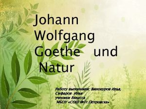 Johann Wolfgang Goethe ein grer deutscher Klassiker Dichter