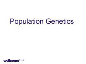 Population Genetics Population Genetics or what processes led