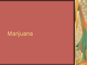Marijuana Marijuana consists of the dried and crushed