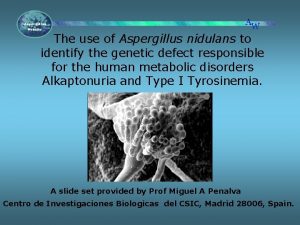 The use of Aspergillus nidulans to identify the