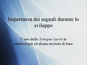 Importanza dei segnali durante lo sviluppo Luso dello