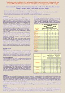 Valutazione della sensibilit in vitro agli antimicrobici ricerca