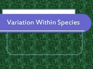 Variation Within Species Individual Variation l This is