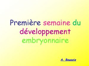 Premire semaine du dveloppement embryonnaire A Bouaziz 1re