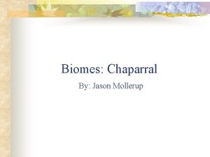 Biomes Chaparral By Jason Mollerup Physical Characteristics n
