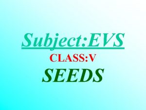 Subject EVS CLASS V SEEDS SEEDS ARE VERY