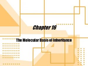 Chapter 16 The Molecular Basis of Inheritance Determining