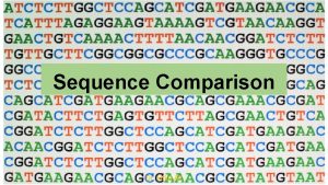 Sequence Comparison Dr Hilal AY Sequence comparison Annotation
