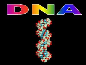 Defined Molecule that stores genetic information Monomer Nucleotide