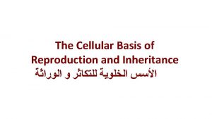 The Cellular Basis of Reproduction and Inheritance Cell