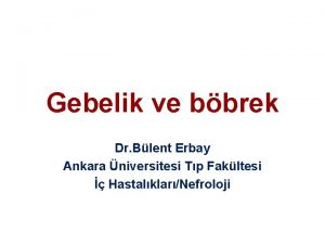Gebelik ve bbrek Dr Blent Erbay Ankara niversitesi