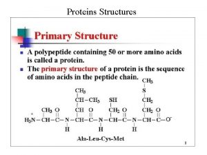 Proteins Structures Primary Structure Proteins Primary Structure Proteins