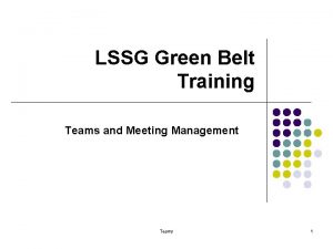 LSSG Green Belt Training Teams and Meeting Management