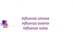 Influenza umana Influenza aviaria Influenza suina Virus dellinfluenza
