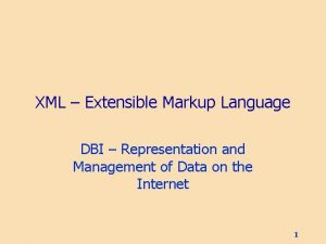 XML Extensible Markup Language DBI Representation and Management