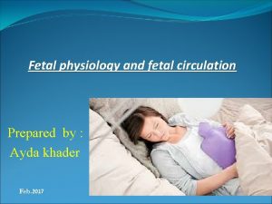Fetal physiology and fetal circulation Prepared by Ayda