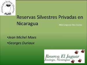 Reservas Silvestres Privadas en Nicaragua Mini Congreso Pino